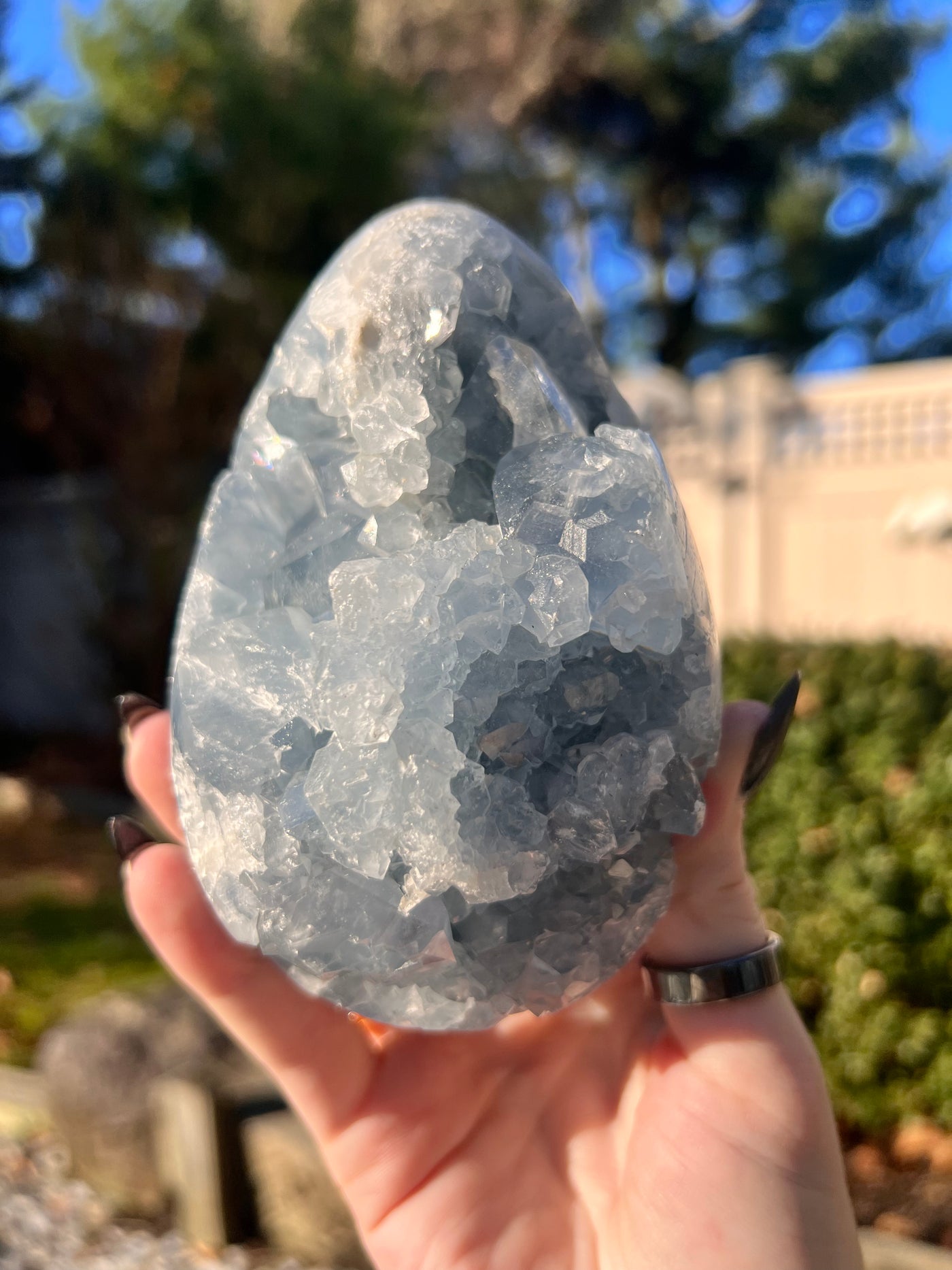 Giant Celestite Egg