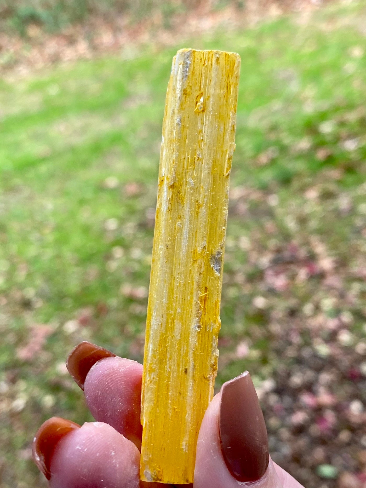 Dyed Selenite Sticks