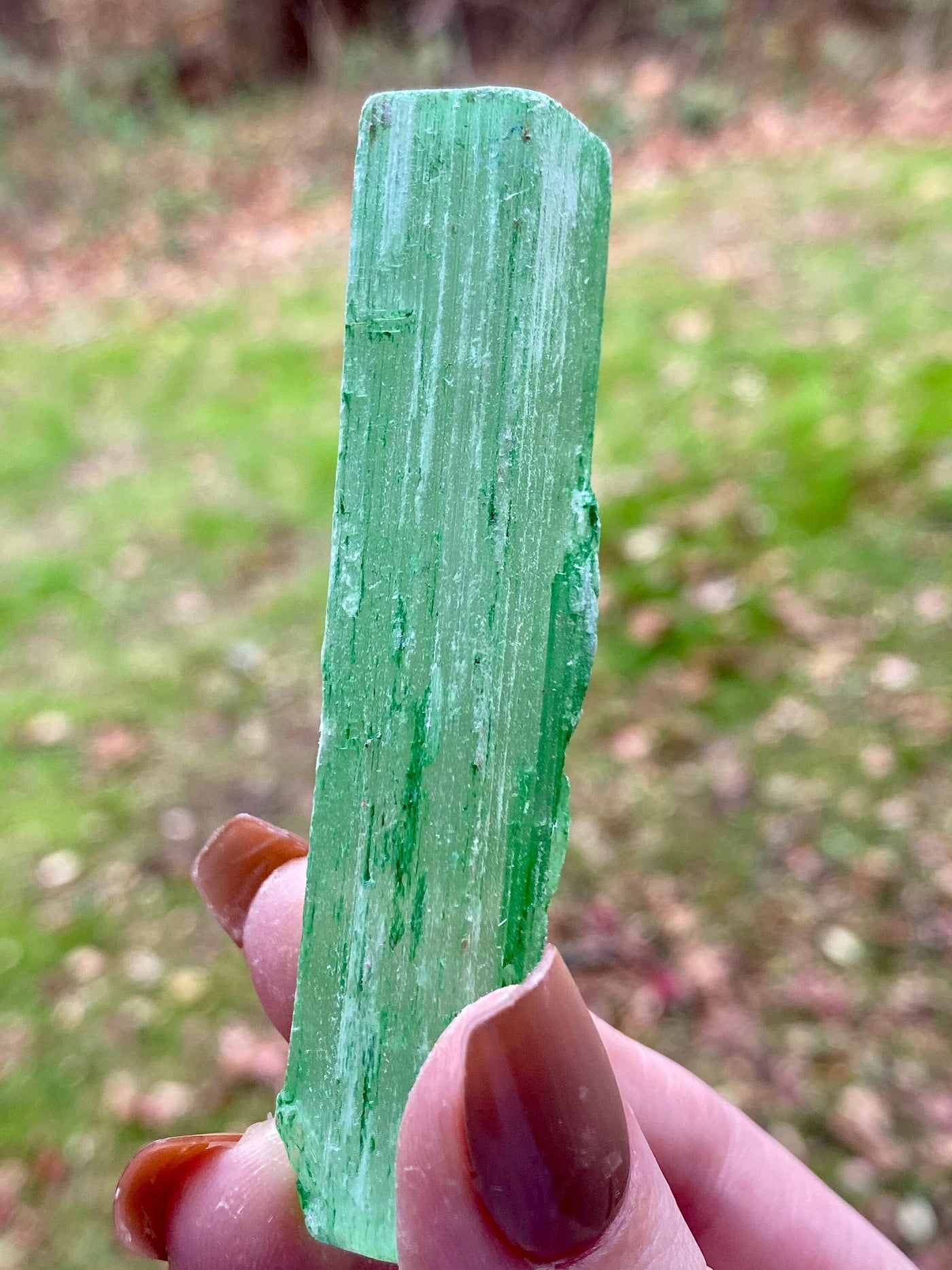 Dyed Selenite Sticks