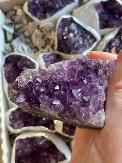 Amethyst Cluster