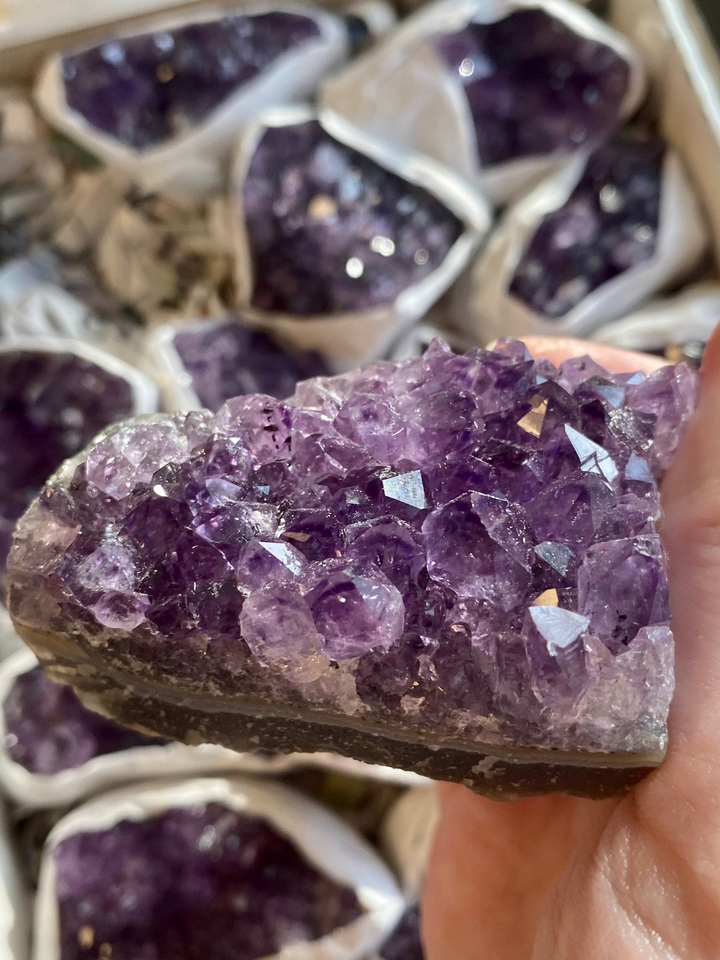 Amethyst Cluster