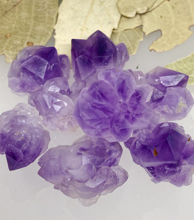 Amethyst Blossom