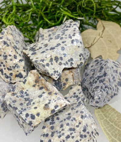 Dalmatian Jasper Raw