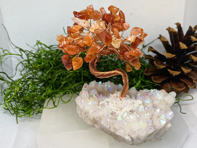 Crystal Bonsai Tree