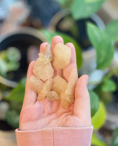 Libyan Desert Glass