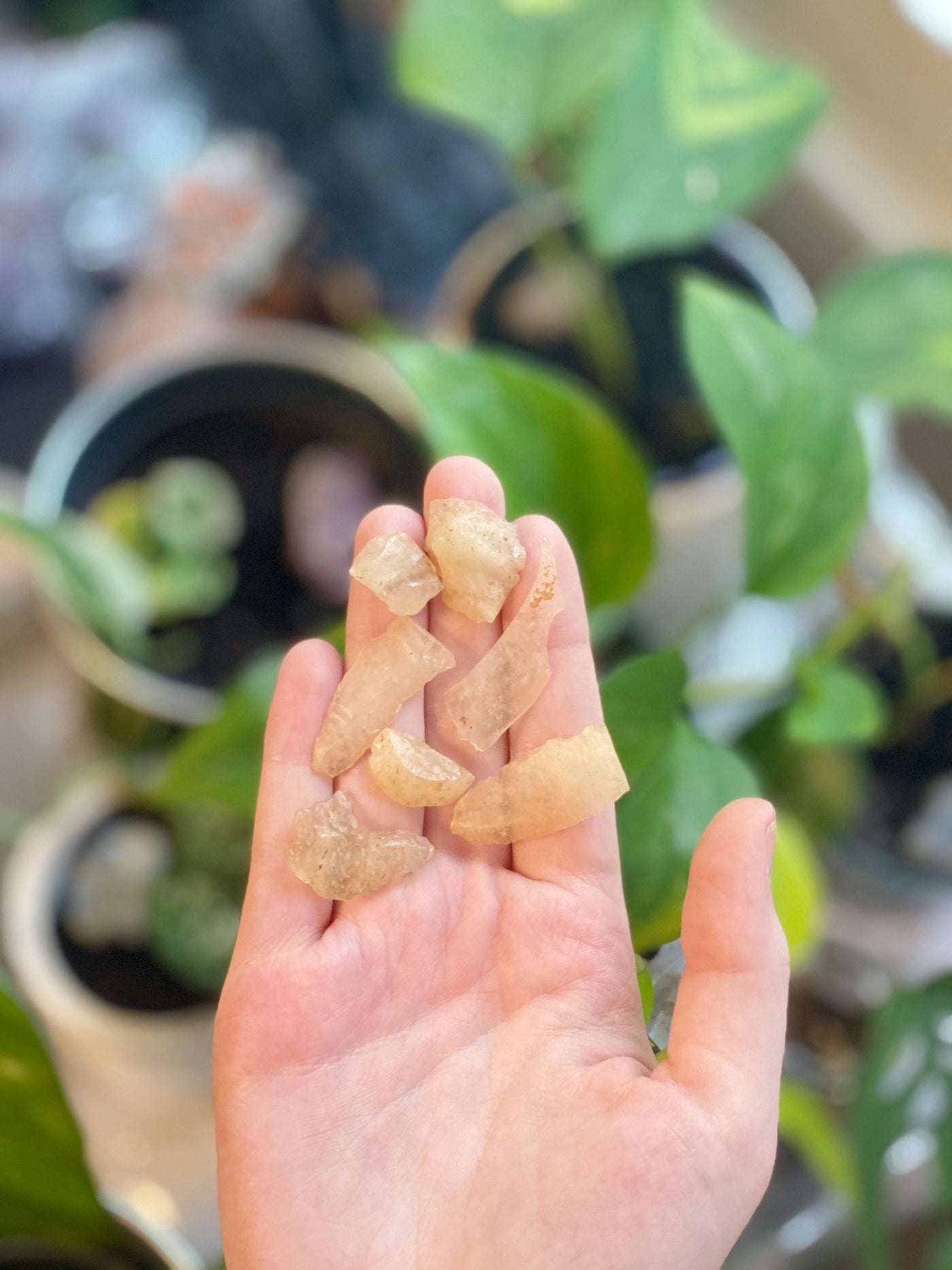 Libyan Desert Glass