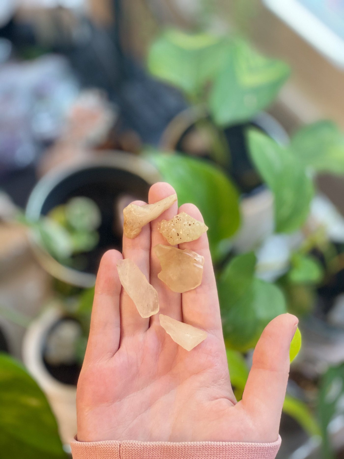 Libyan Desert Glass