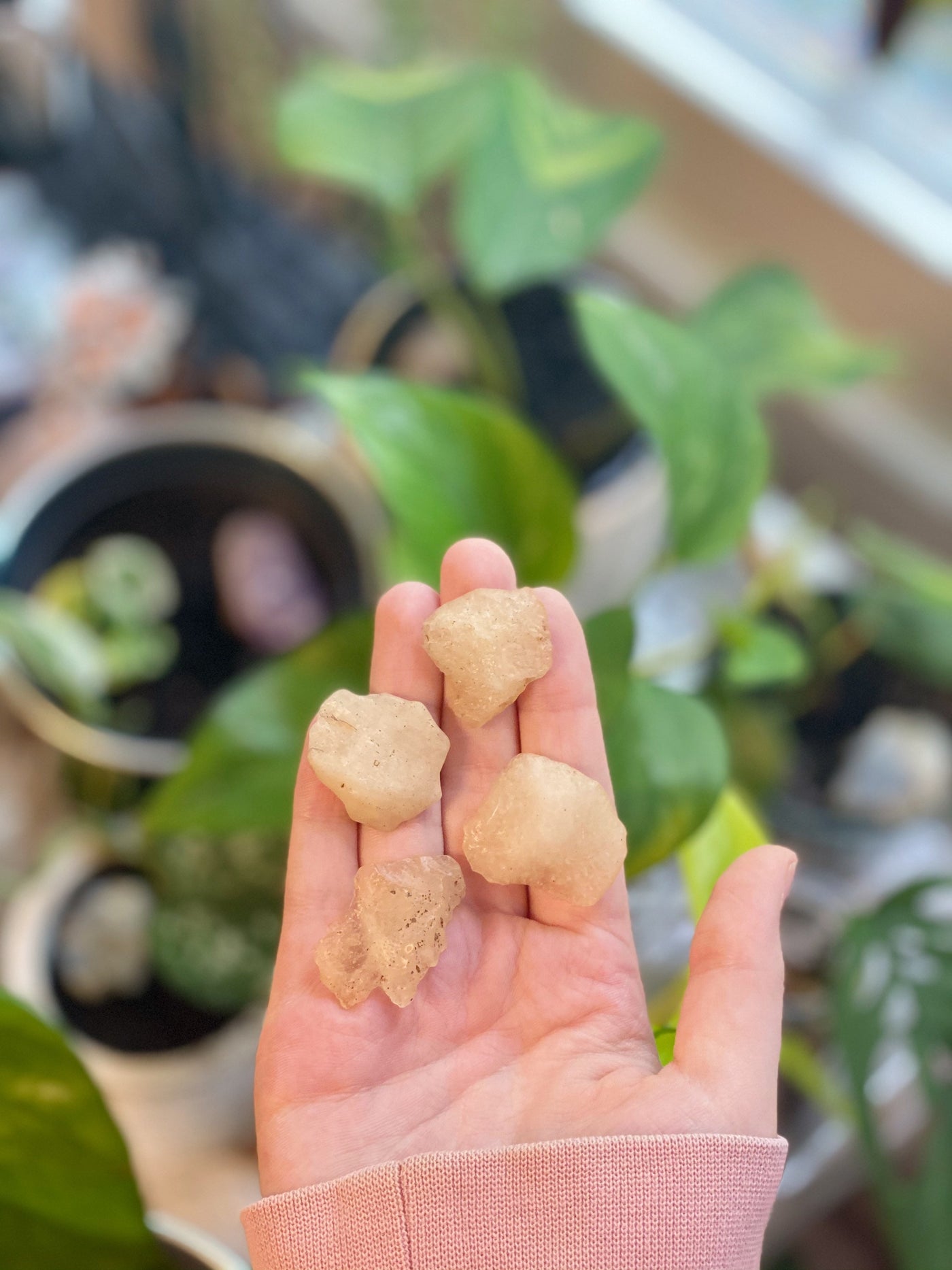 Libyan Desert Glass