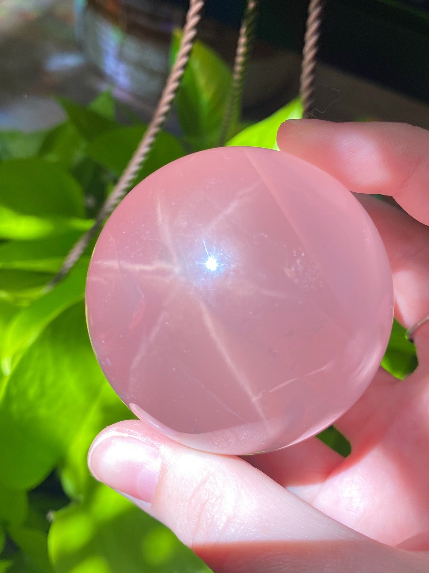 Star Rose Quartz Sphere