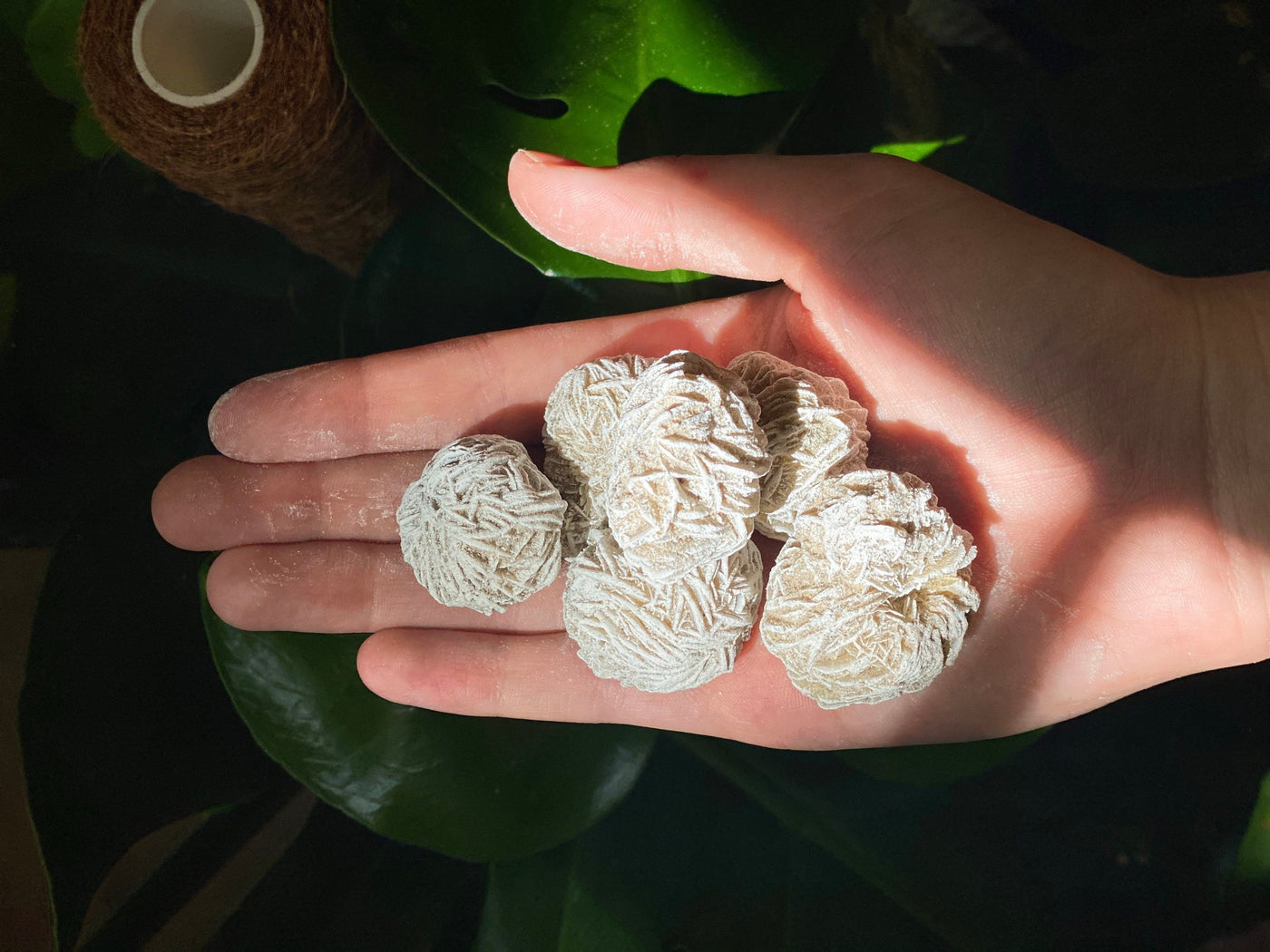 Desert Rose Selenite