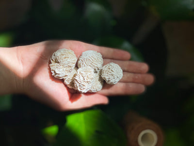 Desert Rose Selenite