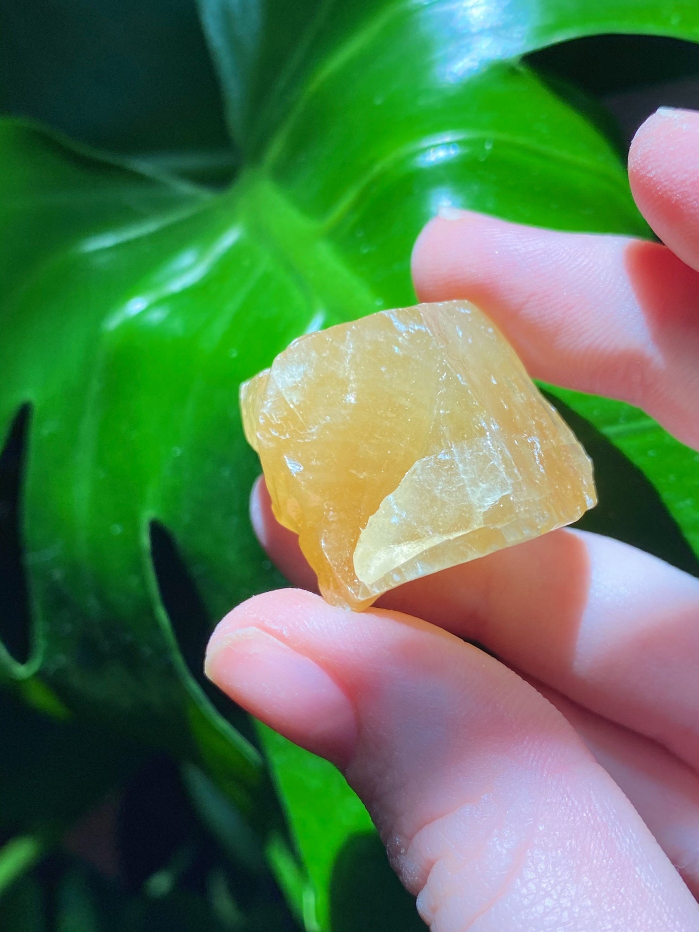 Honey Calcite Raw