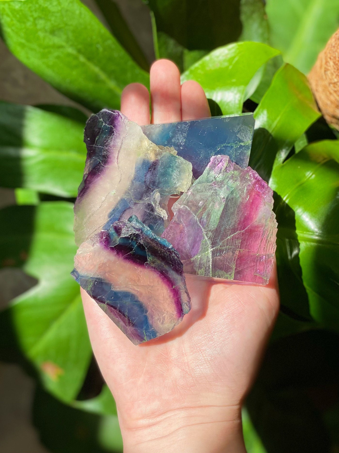 Half Polished Fluorite Slab