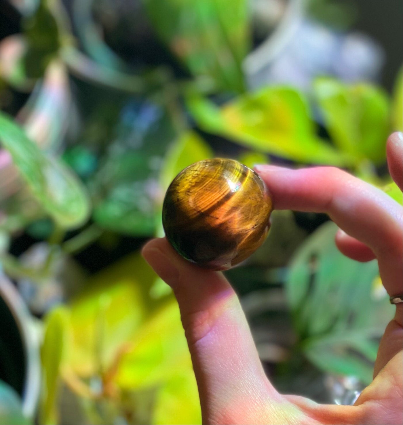 Tigers Eye Sphere