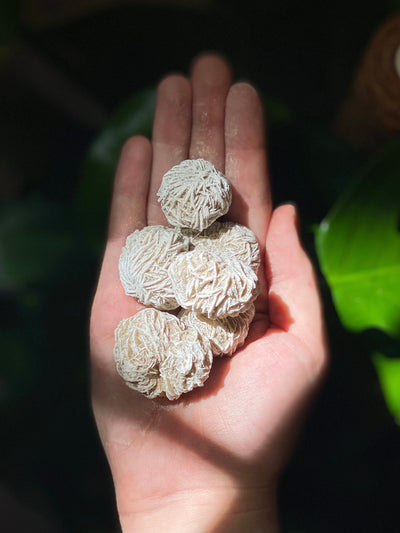 Desert Rose Selenite