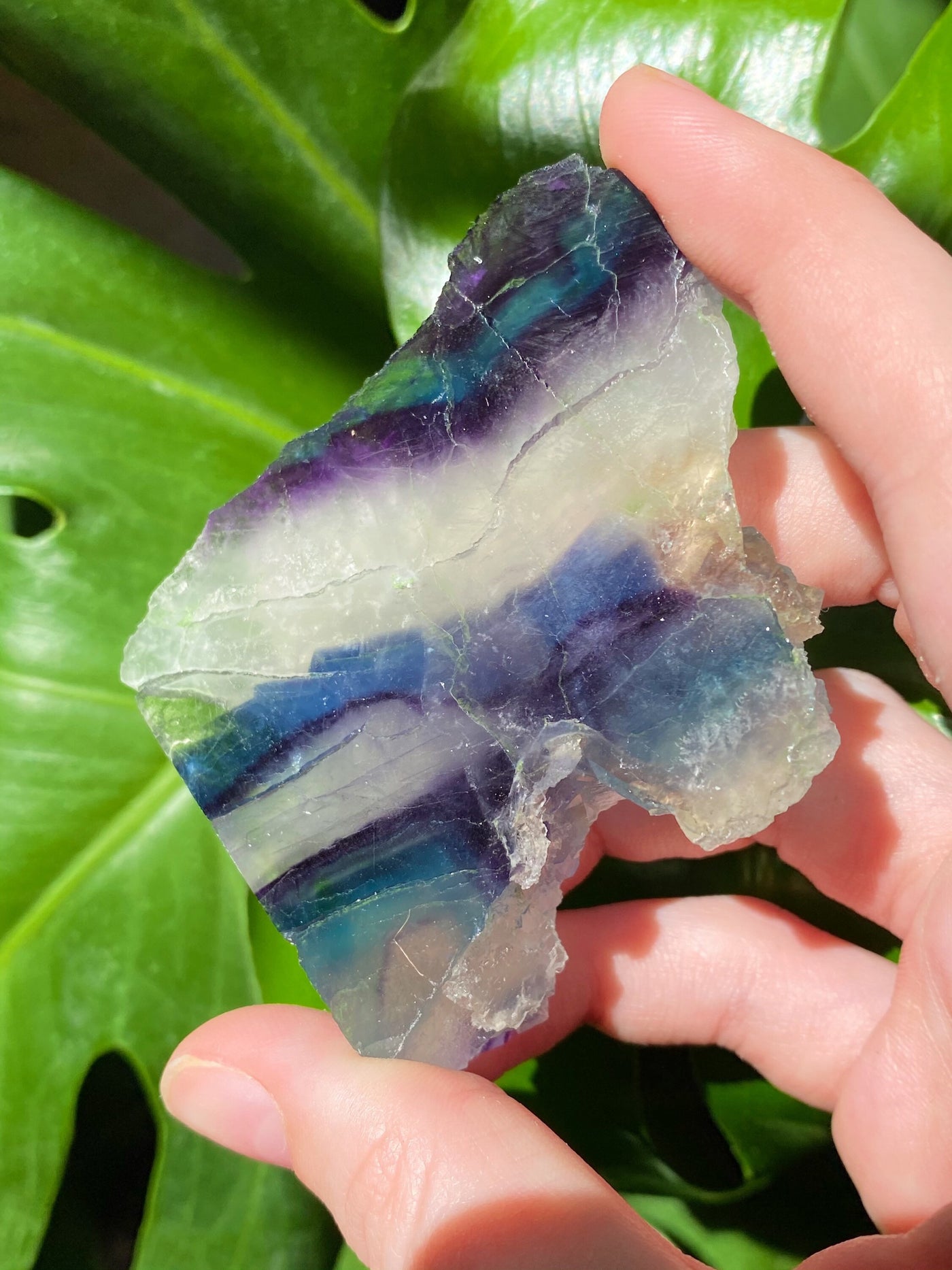 Half Polished Fluorite Slab