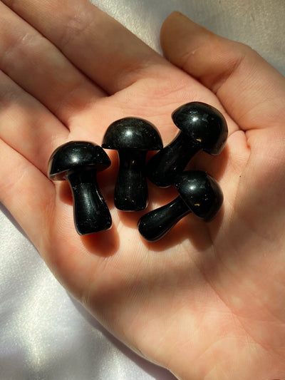 Obsidian Mini Mushroom