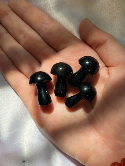 Obsidian Mini Mushroom