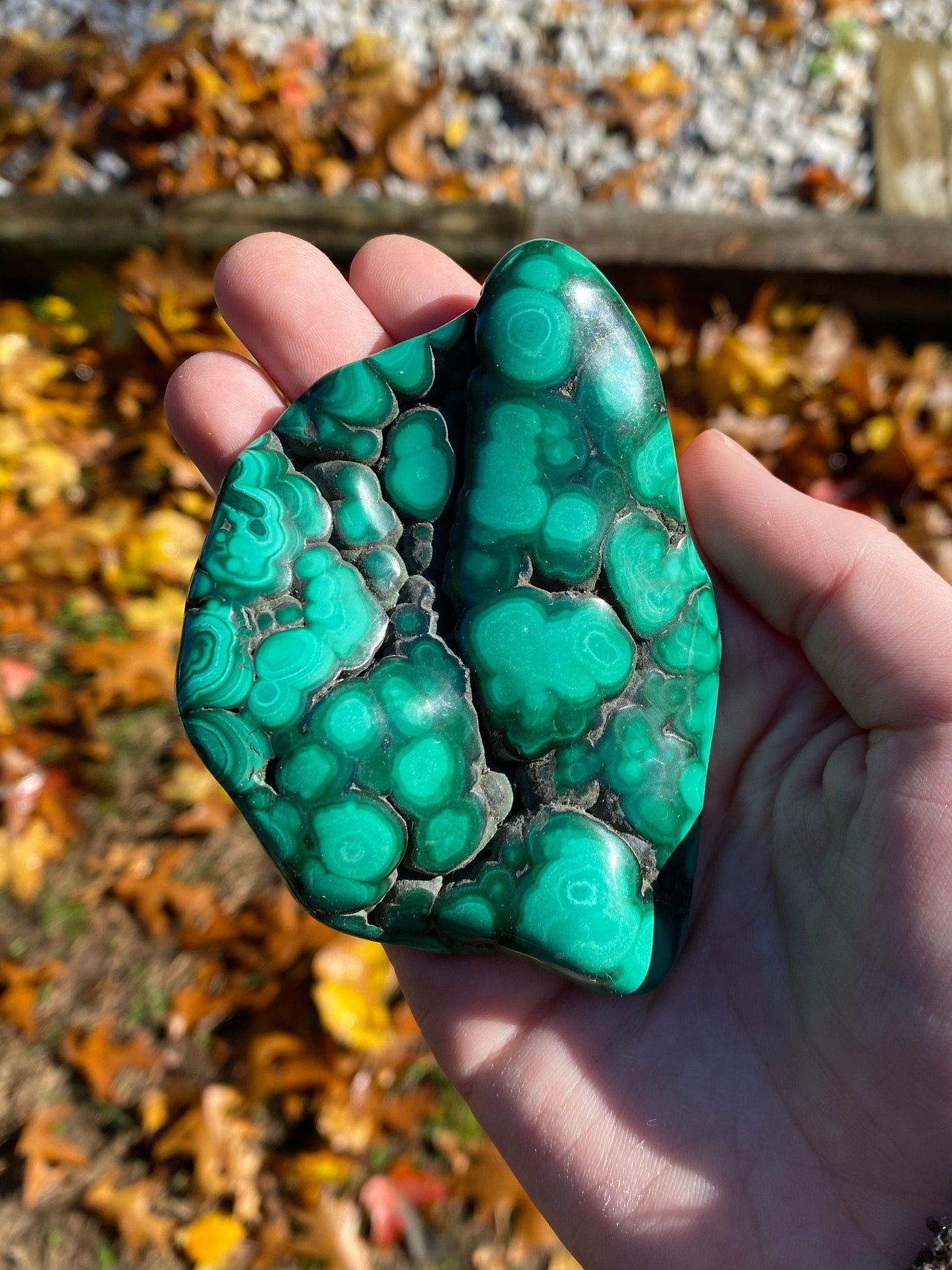 Malachite Freeforms