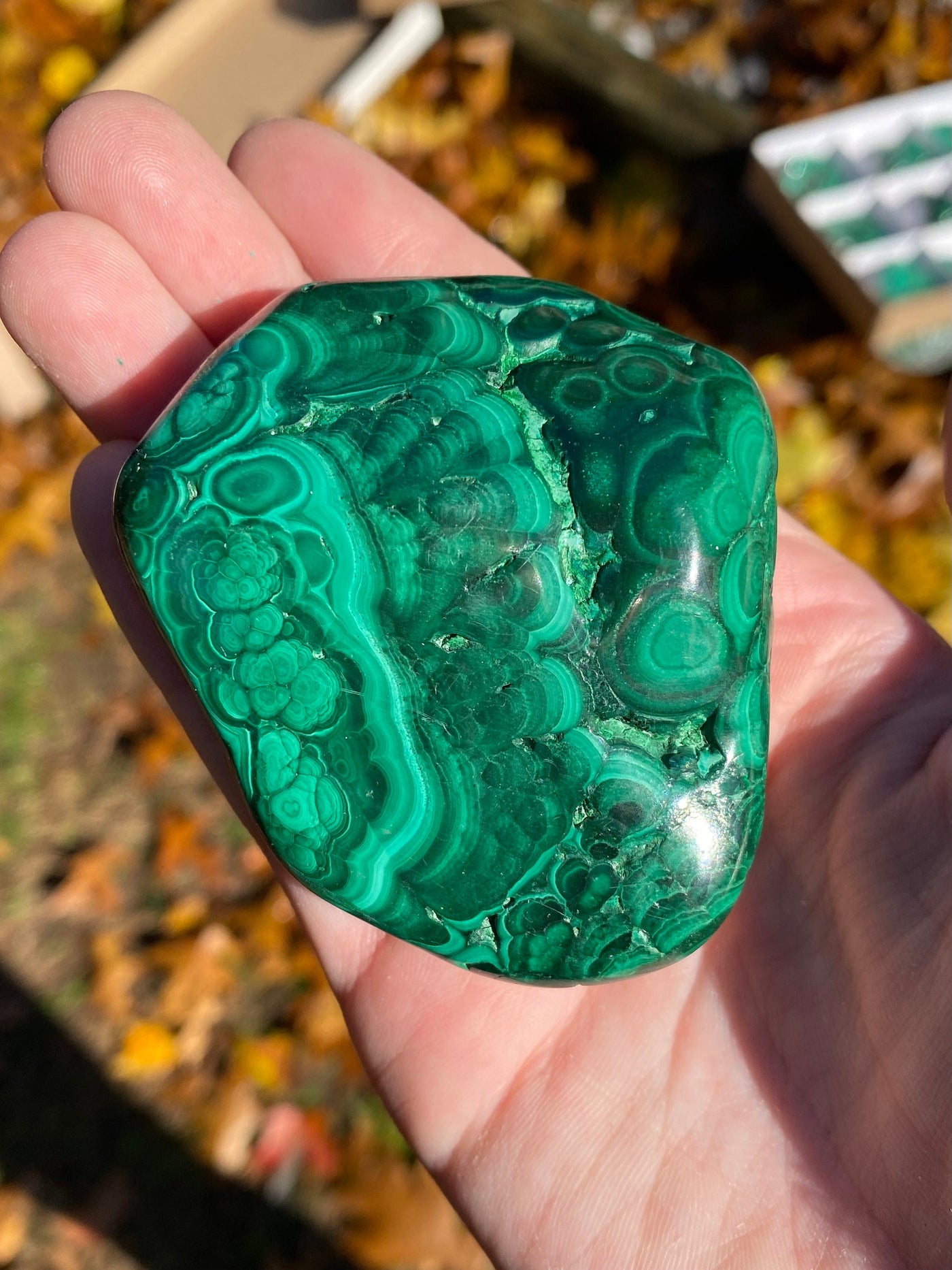 Malachite Freeforms