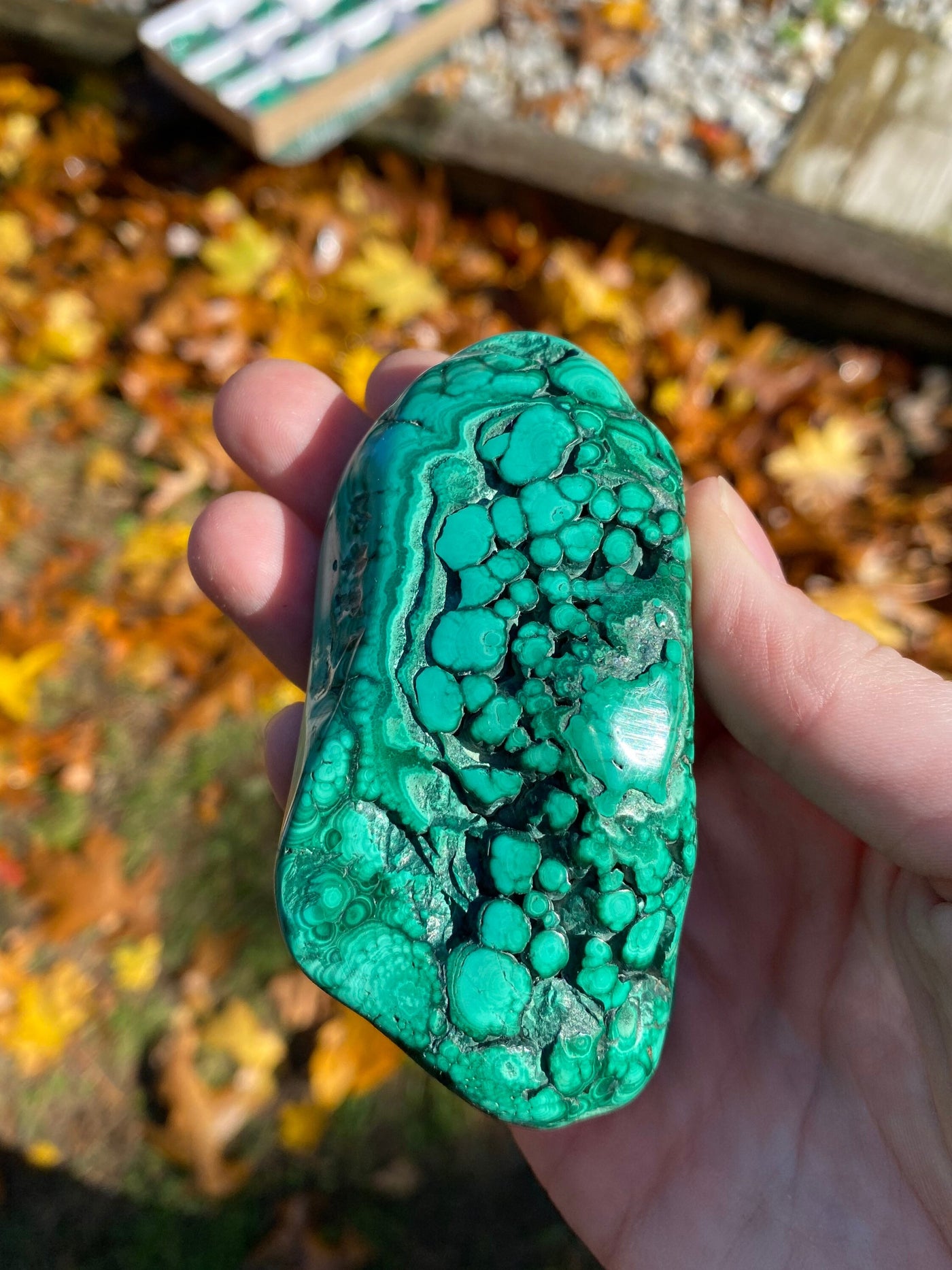 Malachite Freeforms