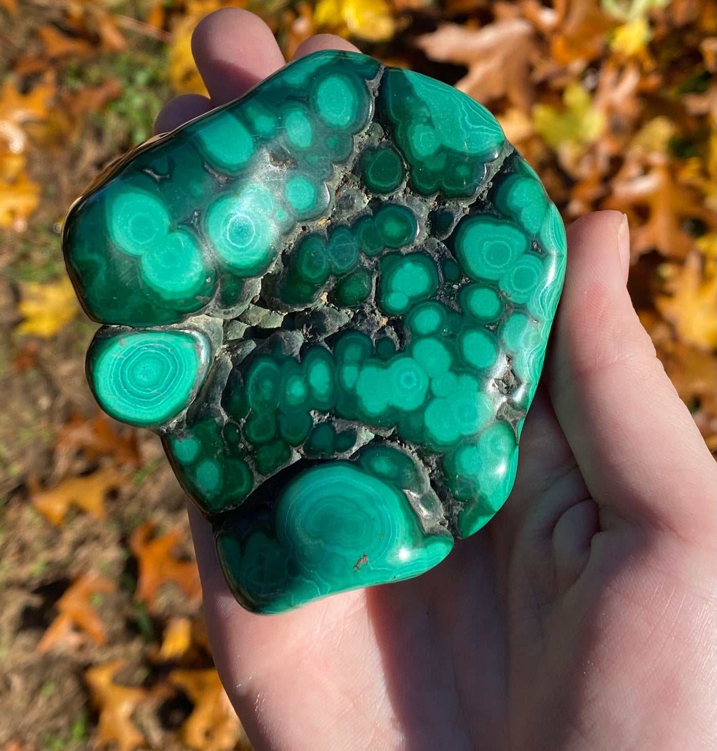 Malachite Freeforms