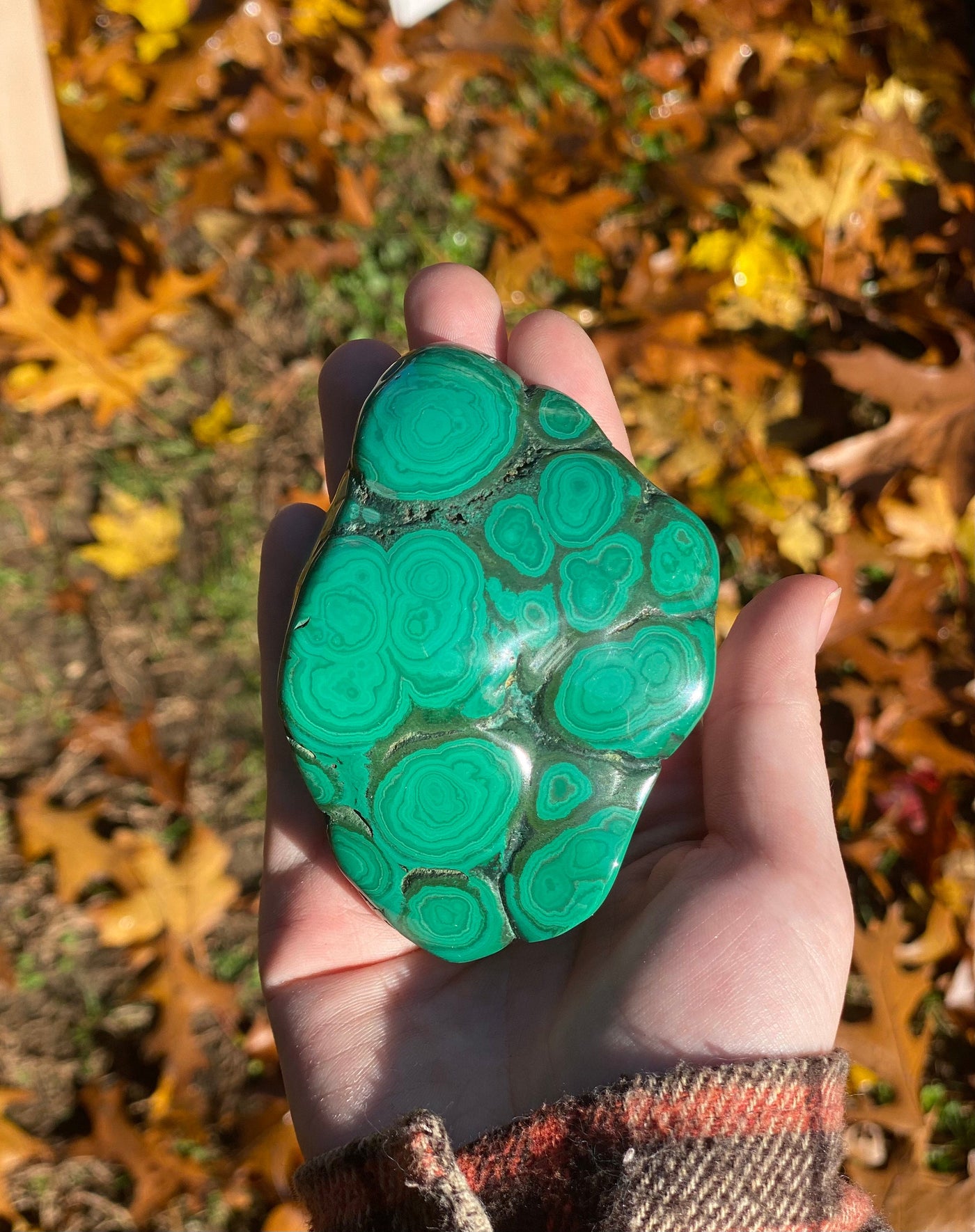 Malachite Freeforms