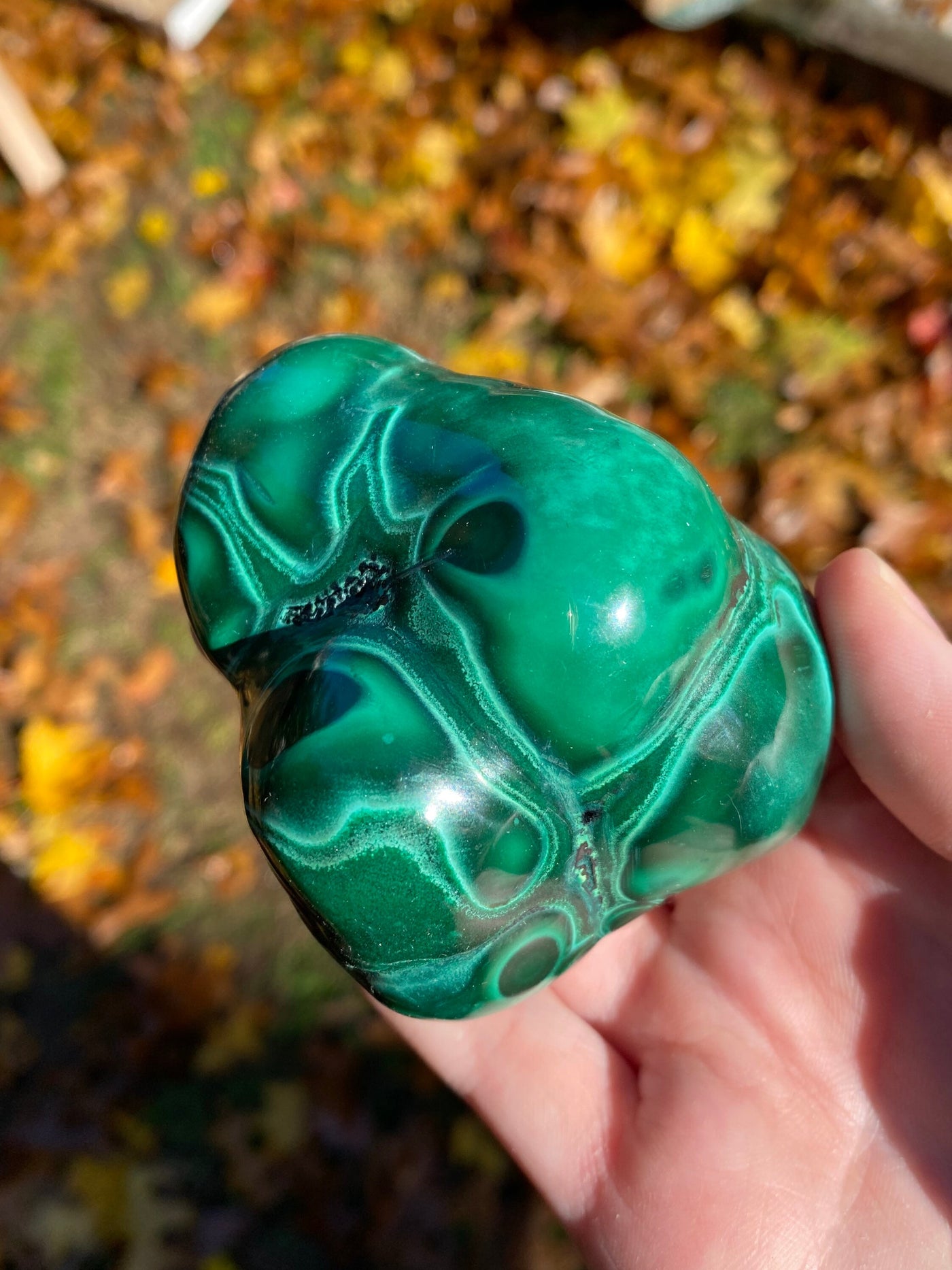 Malachite Freeforms