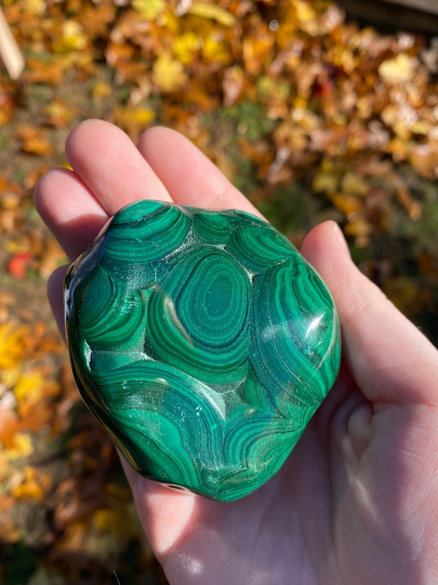 Malachite Freeforms