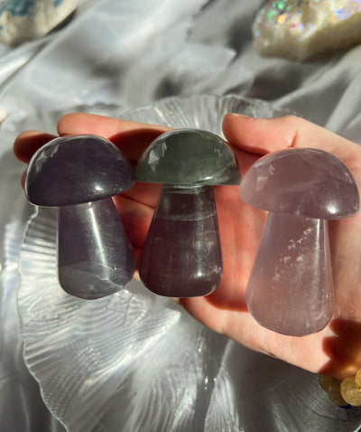 Fluorite Mushrooms