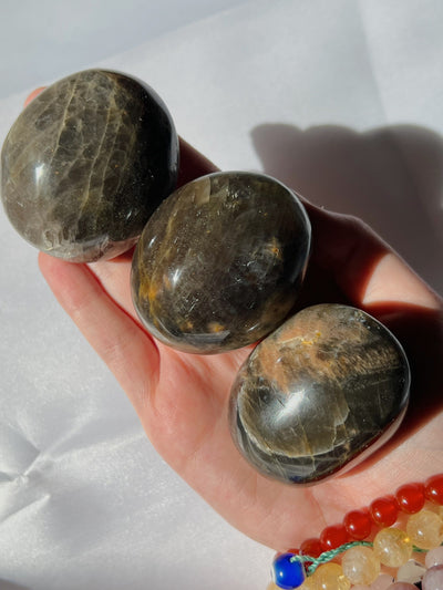 Black Moonstone Palmstone