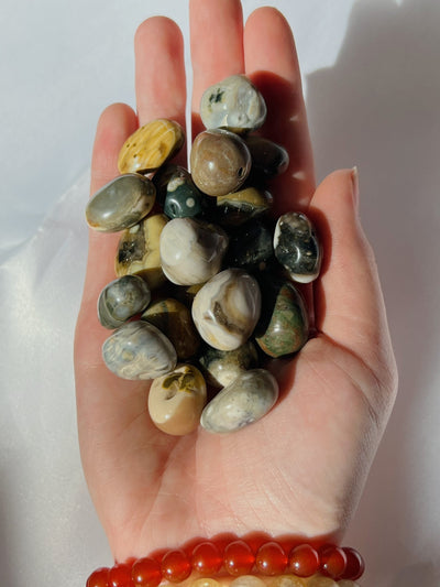 Orbicular Ocean Jasper Tumble