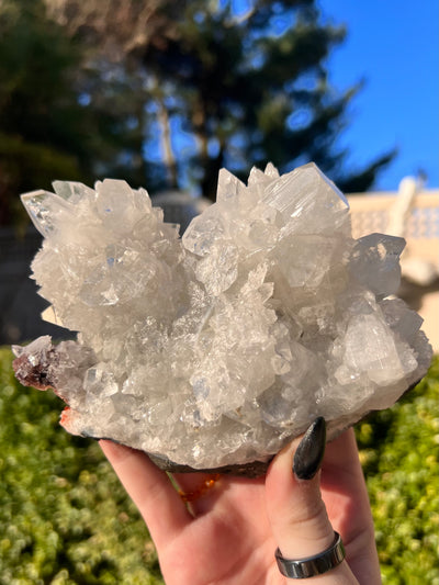 Apophyllite Cluster