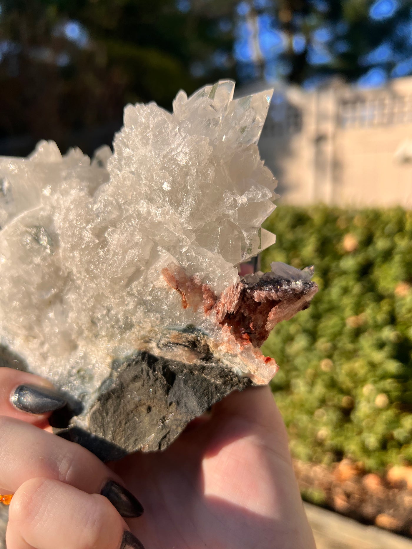 Apophyllite Cluster